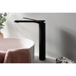 Liberty Extended Basin Mixer Matte Black